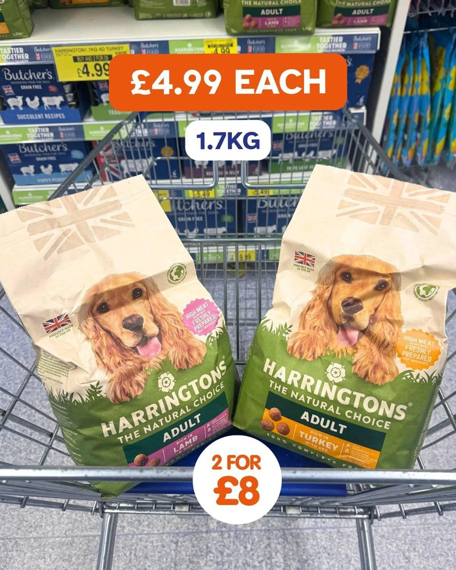 B&M Stores leaflet from 6 February to 27 February 2026 - Catalogue Page 2