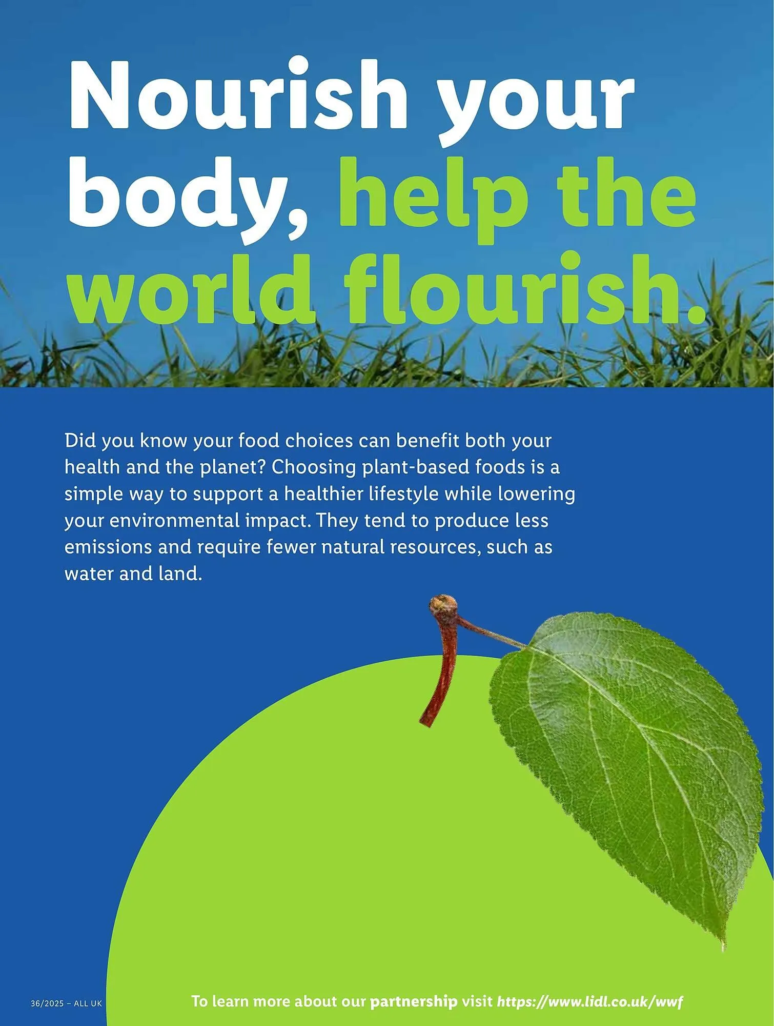 Lidl leaflet from 4 September to 10 September 2025 - Catalogue Page 8