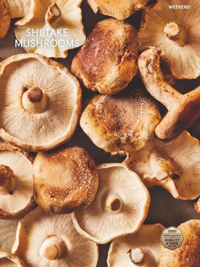 Tesco Magazine - February 2025 from 29 January to 28 February 2025 - Catalogue Page 25