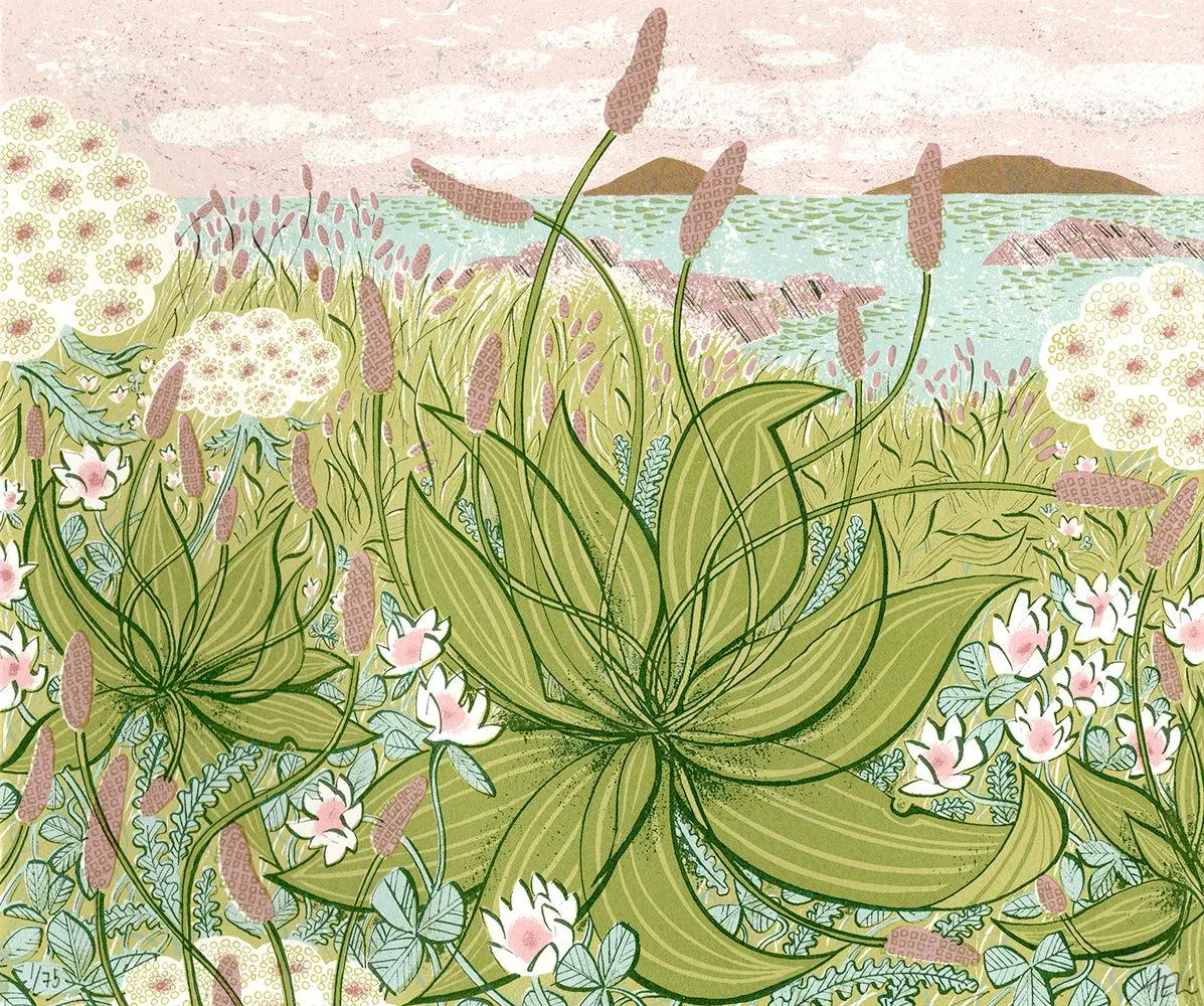 Plantain, Summer Shore