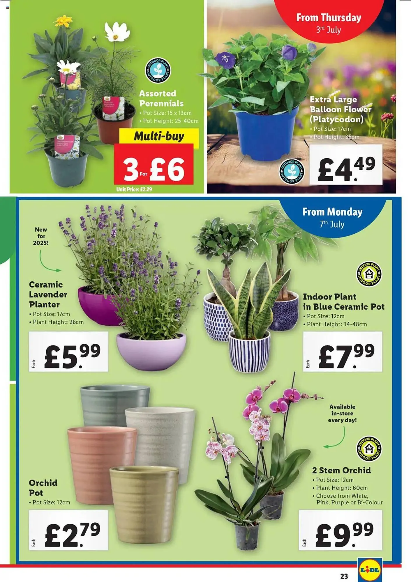 Lidl leaflet from 3 July to 9 July 2025 - Catalogue Page 23
