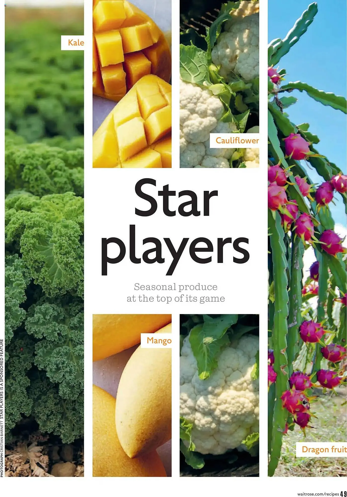 Waitrose catalogue from 1 February to 1 April 2026 - Catalogue Page 49