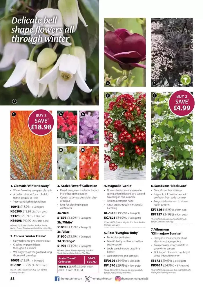 The Spring Catalogue from 20 March to 31 May 2025 - Catalogue Page 88