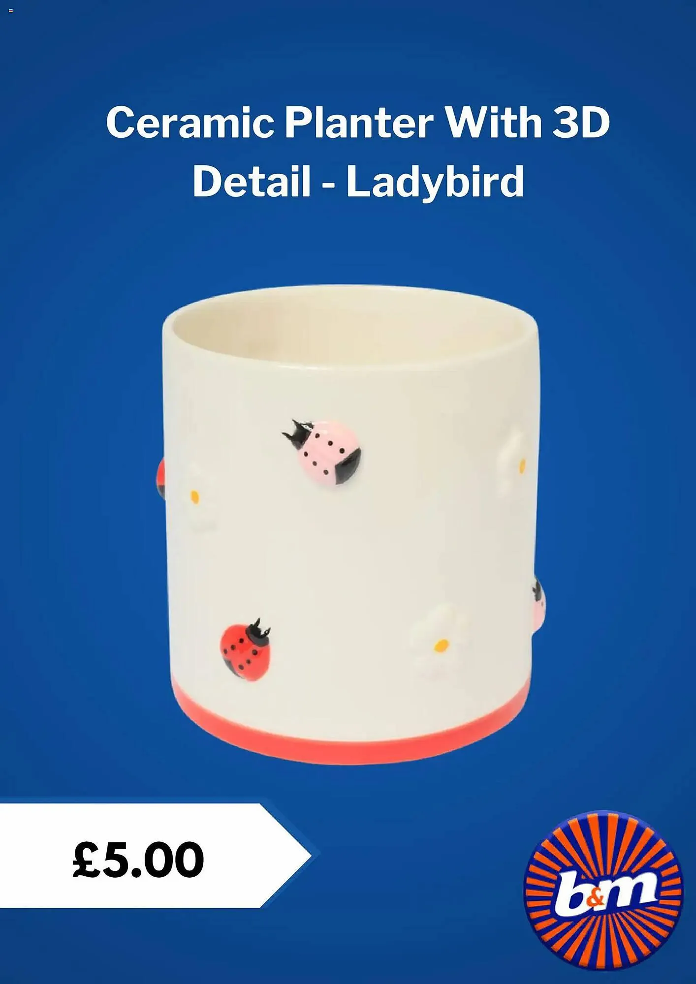 B&M Stores leaflet from 25 February to 25 March 2026 - Catalogue Page 4