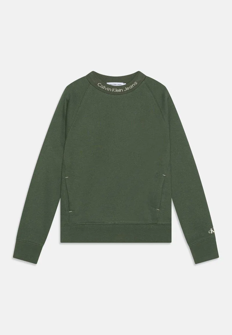 INTARSIA CREWNECK - Sweatshirt