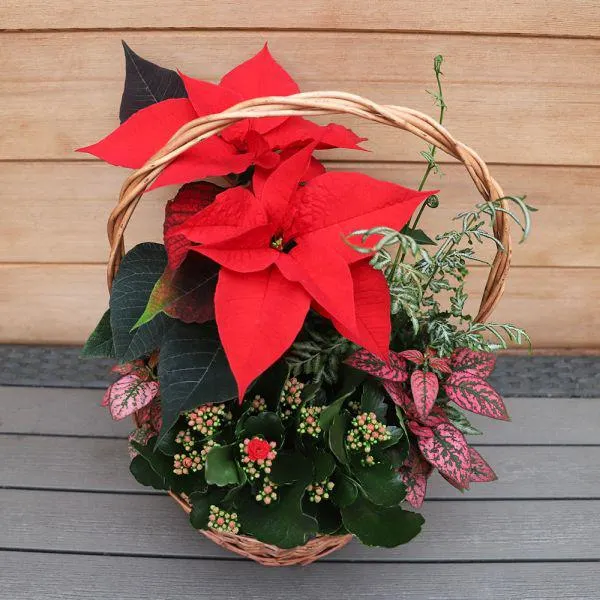 Indoors Winter Rustic Basket 30cm