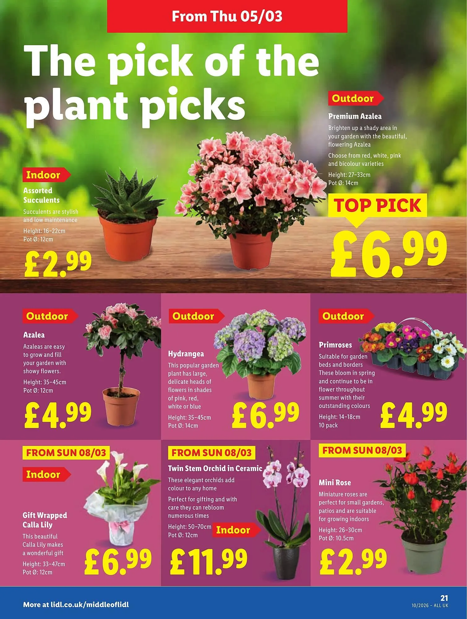 Lidl leaflet from 5 March to 11 March 2026 - Catalogue Page 21
