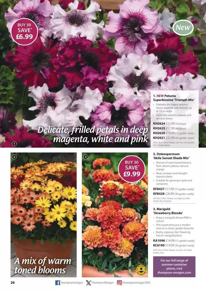 The Spring Catalogue from 20 March to 31 May 2025 - Catalogue Page 26