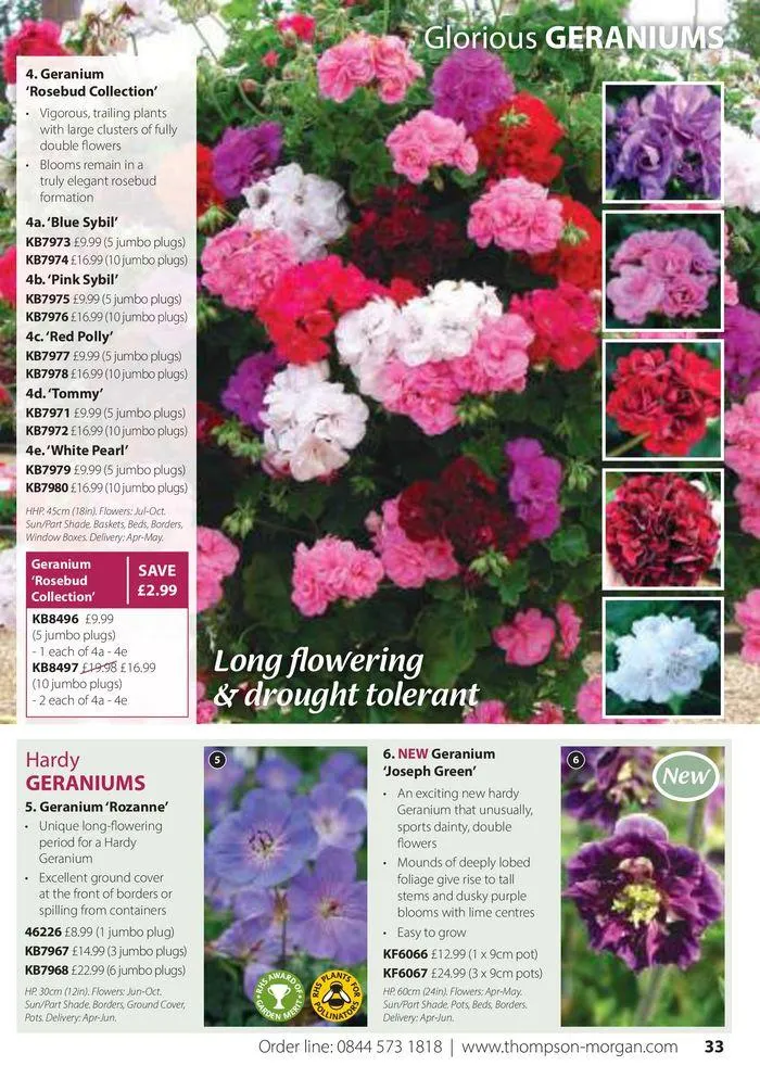 Spring Sale Catalogue from 2 May to 31 May 2024 - Catalogue Page 33