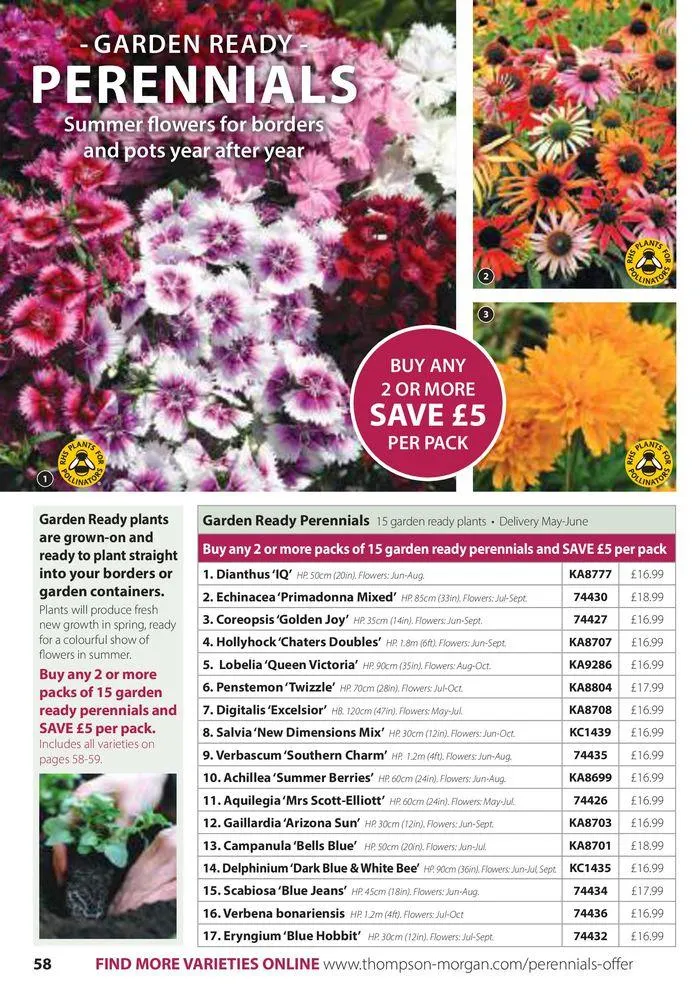 Spring Sale Catalogue from 2 May to 31 May 2024 - Catalogue Page 58