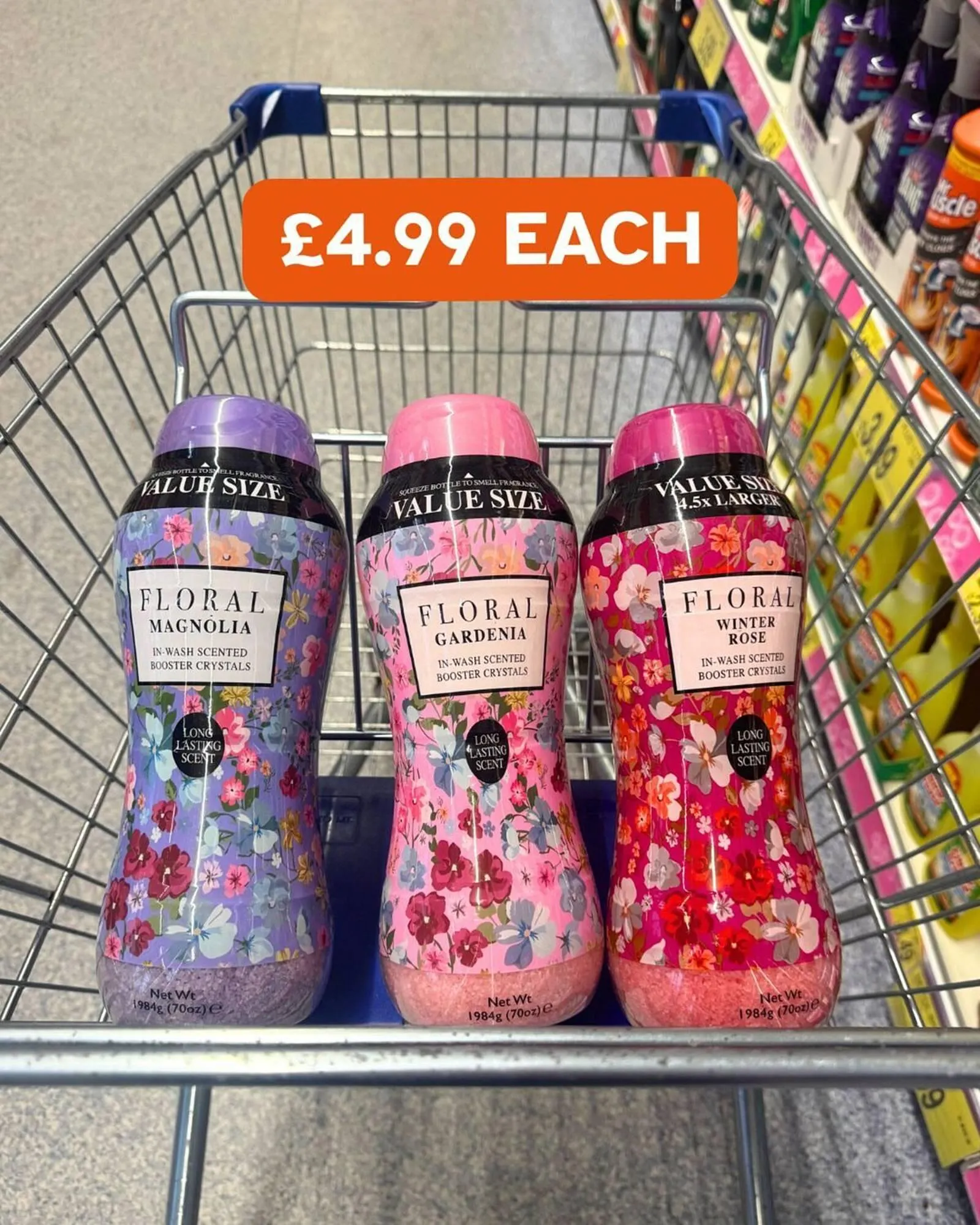 B&M Stores leaflet from 6 February to 27 February 2026 - Catalogue Page 5