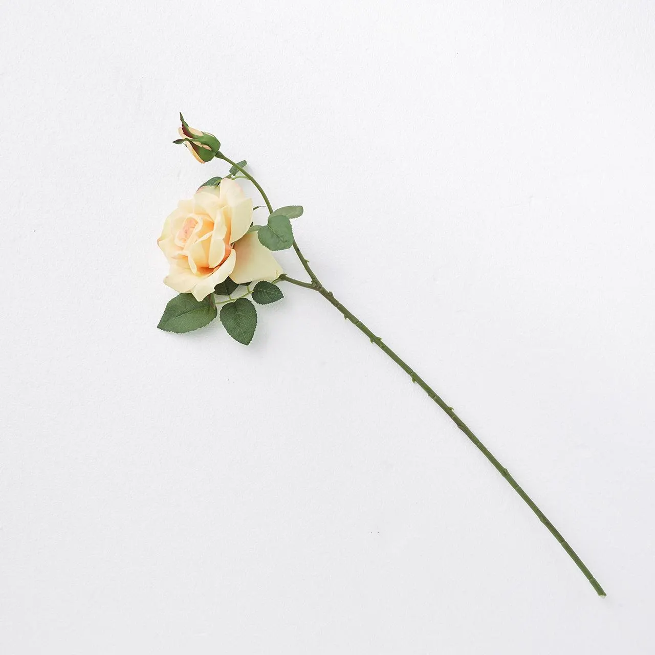 Peach Rose Flower & Bud Stem