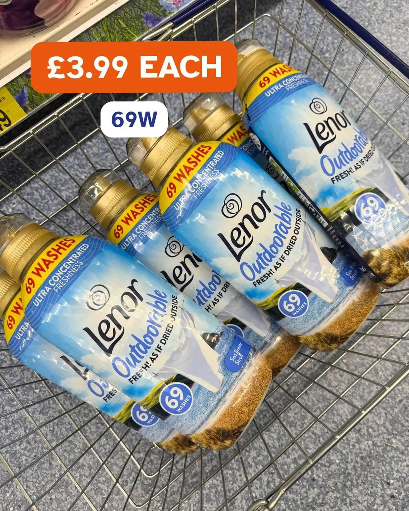 B&M Stores leaflet from 6 February to 27 February 2026 - Catalogue Page 9