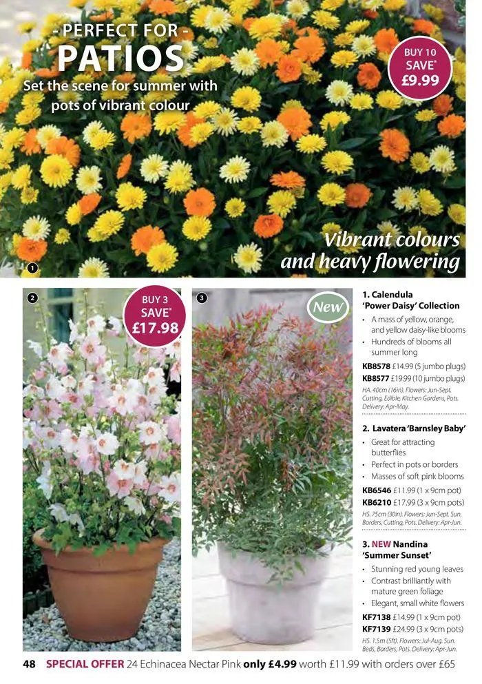 Spring Sale Catalogue from 2 May to 31 May 2024 - Catalogue Page 48