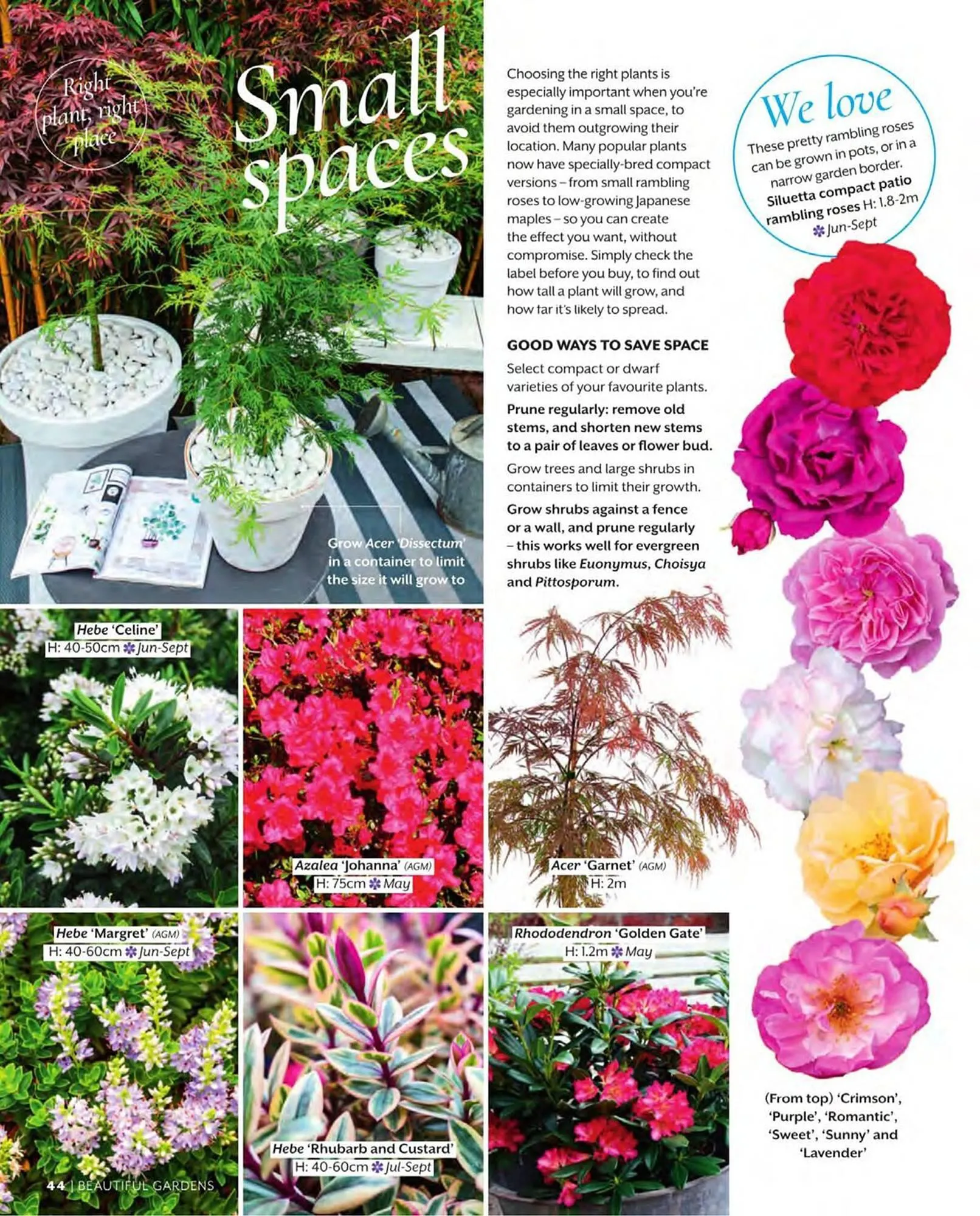 Squires Garden Centres leaflet from 1 March to 31 May 2024 - Catalogue Page 44