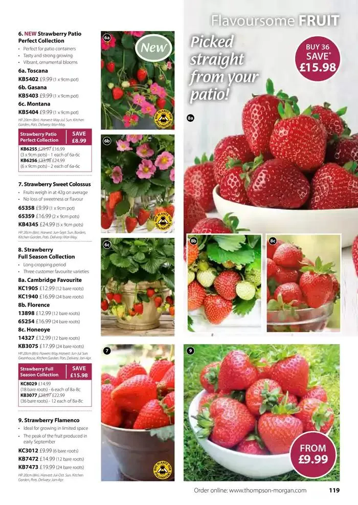 The Spring Catalogue from 20 March to 31 May 2025 - Catalogue Page 119