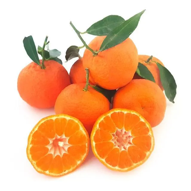 Natoora Italian Leafy Clementines 500g