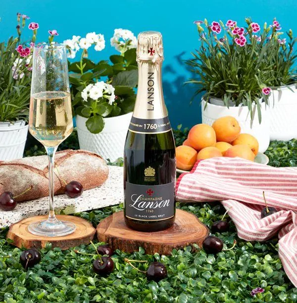 Lanson Le Black Création Half Bottle Champagne WAS £25 NOW £22