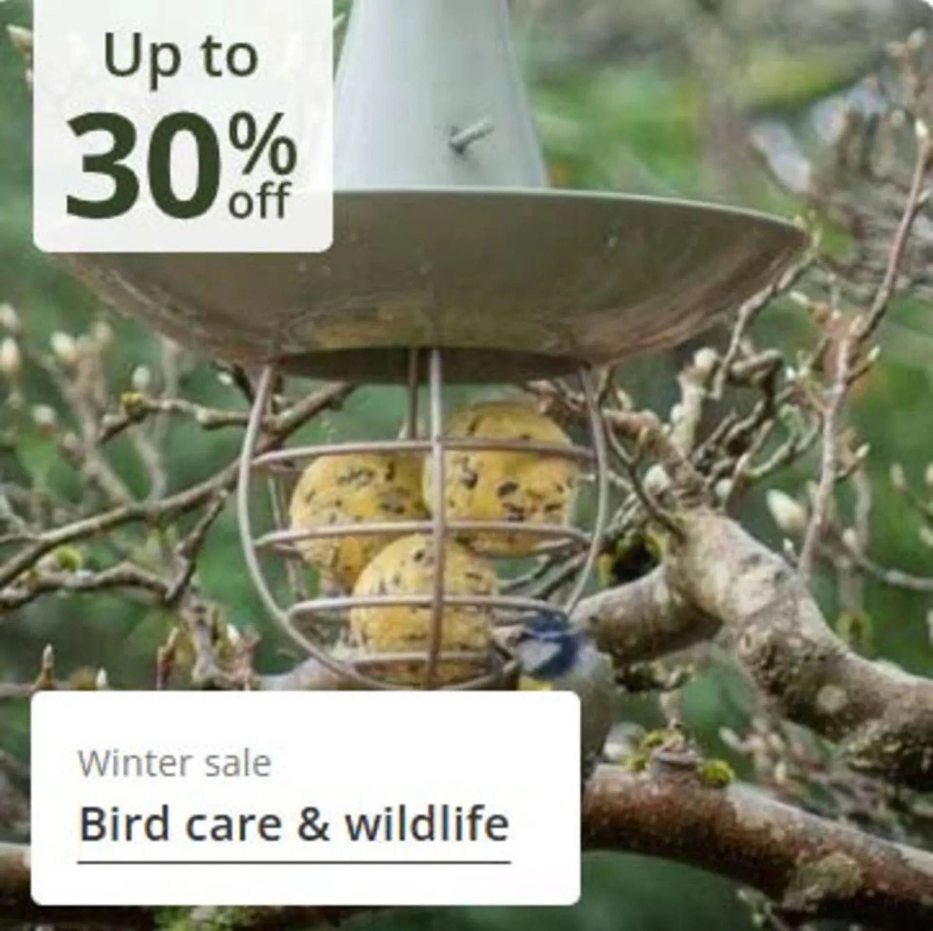 Crocus leaflet from 24 December to 8 January 2026 - Catalogue Page 14