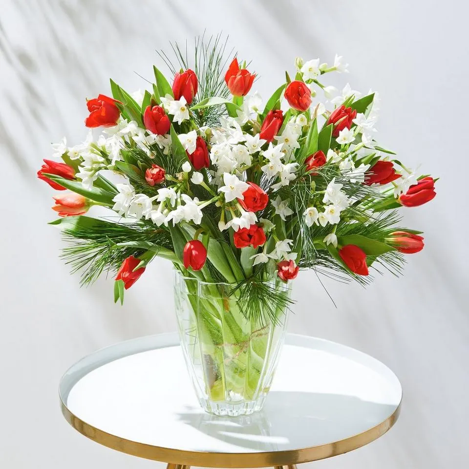 Deluxe Christmas - 25% extra free