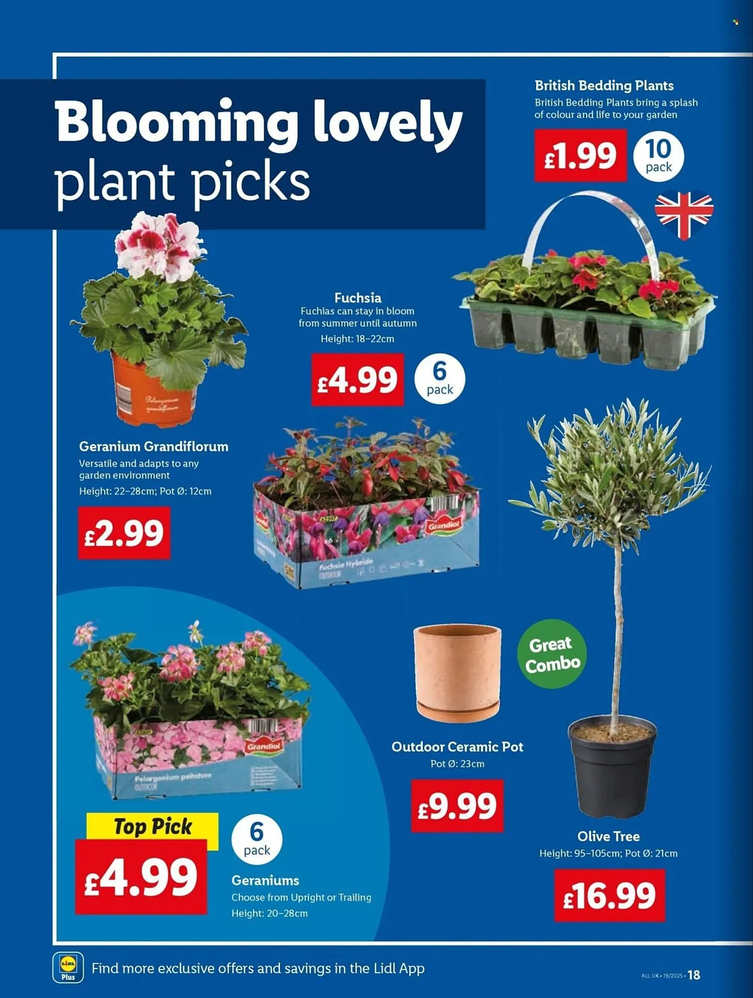 Lidl leaflet from 8 May to 14 May 2025 - Catalogue Page 18