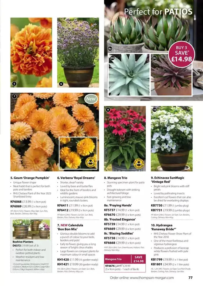 The Spring Catalogue from 20 March to 31 May 2025 - Catalogue Page 77