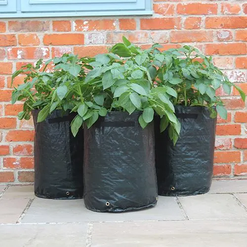 Potato Patio Planter