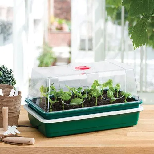 One Top Electric Propagator