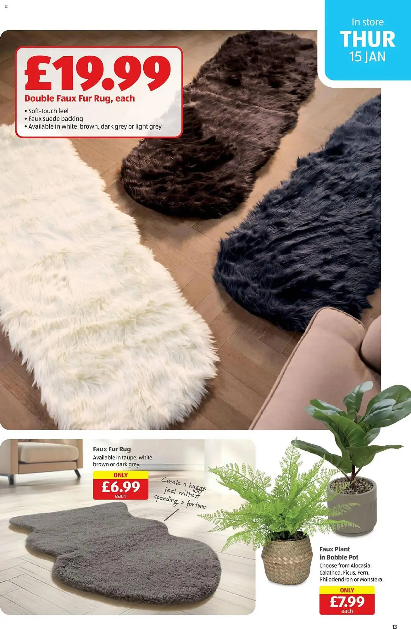 Aldi leaflet from 15 January to 19 January 2026 - Catalogue Page 13