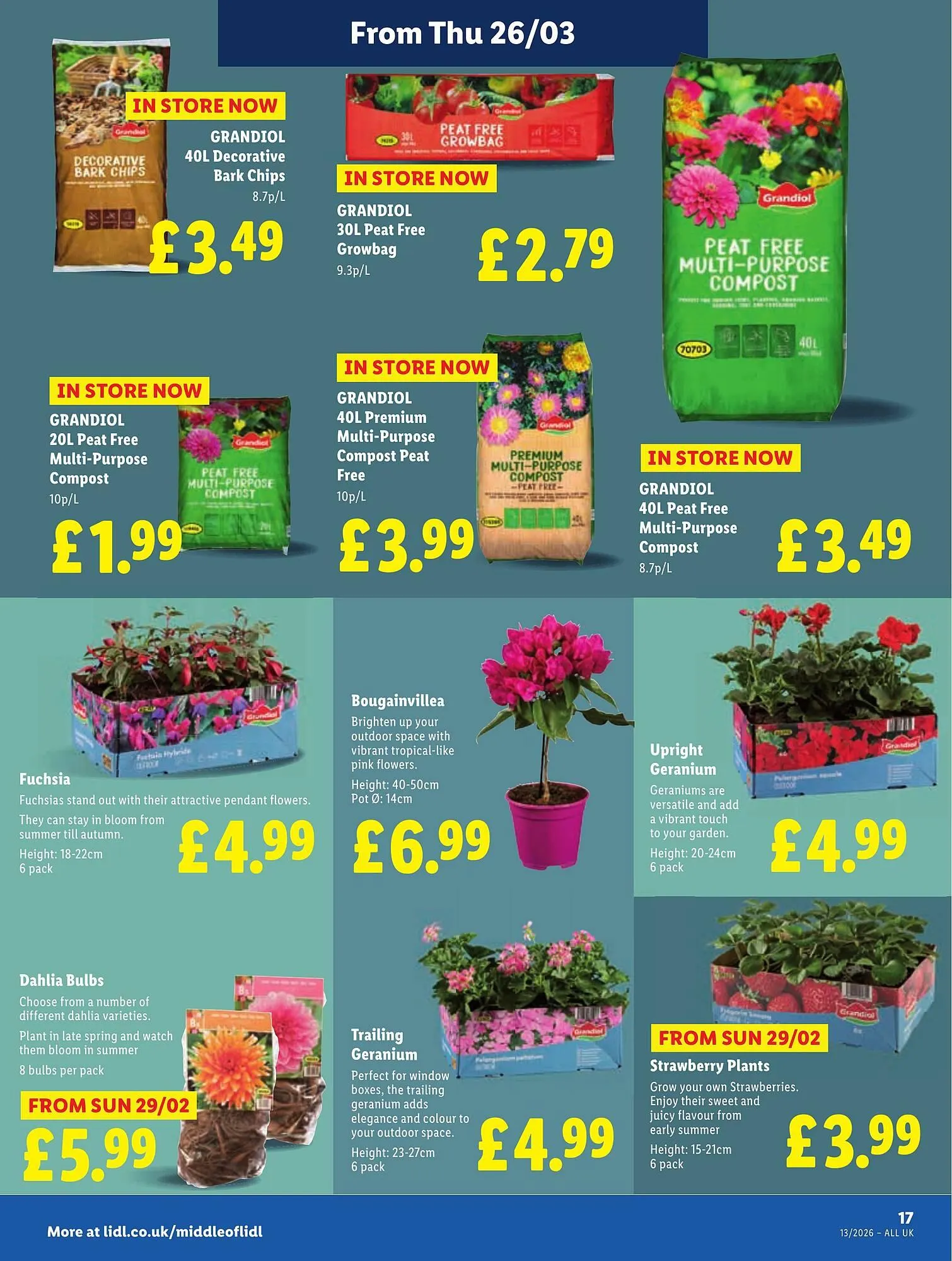 Lidl leaflet from 26 March to 1 April 2026 - Catalogue Page 19