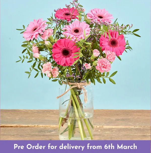 Gemini Posy with Free Vase