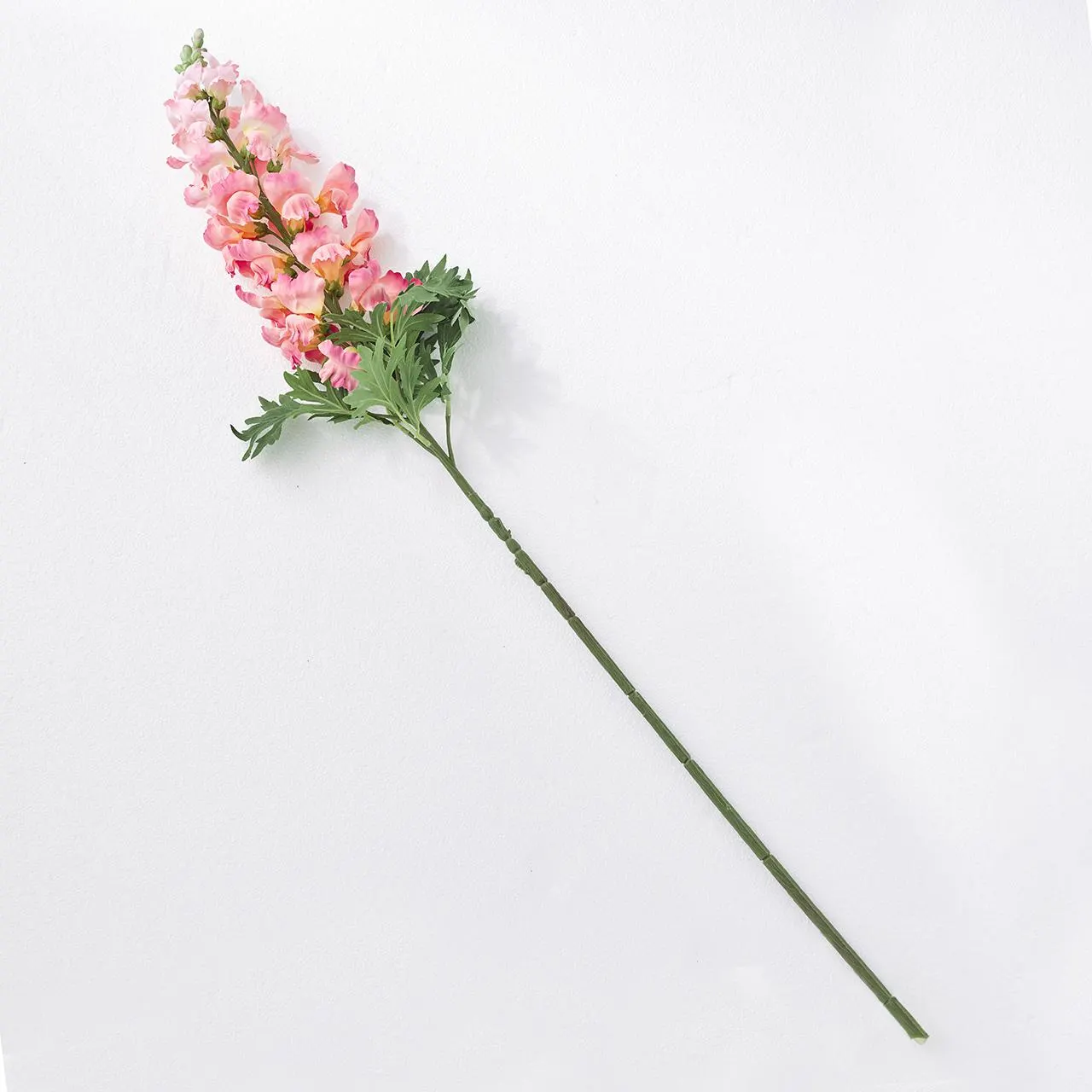 Pink Delphinium Stem
