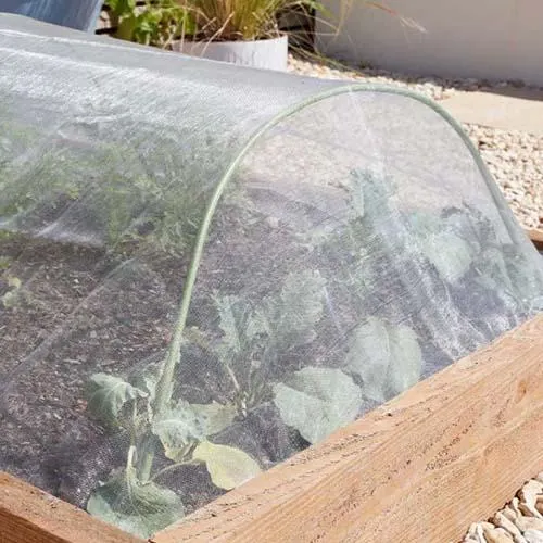 Anti-Insect Mesh 2m - 2 pack