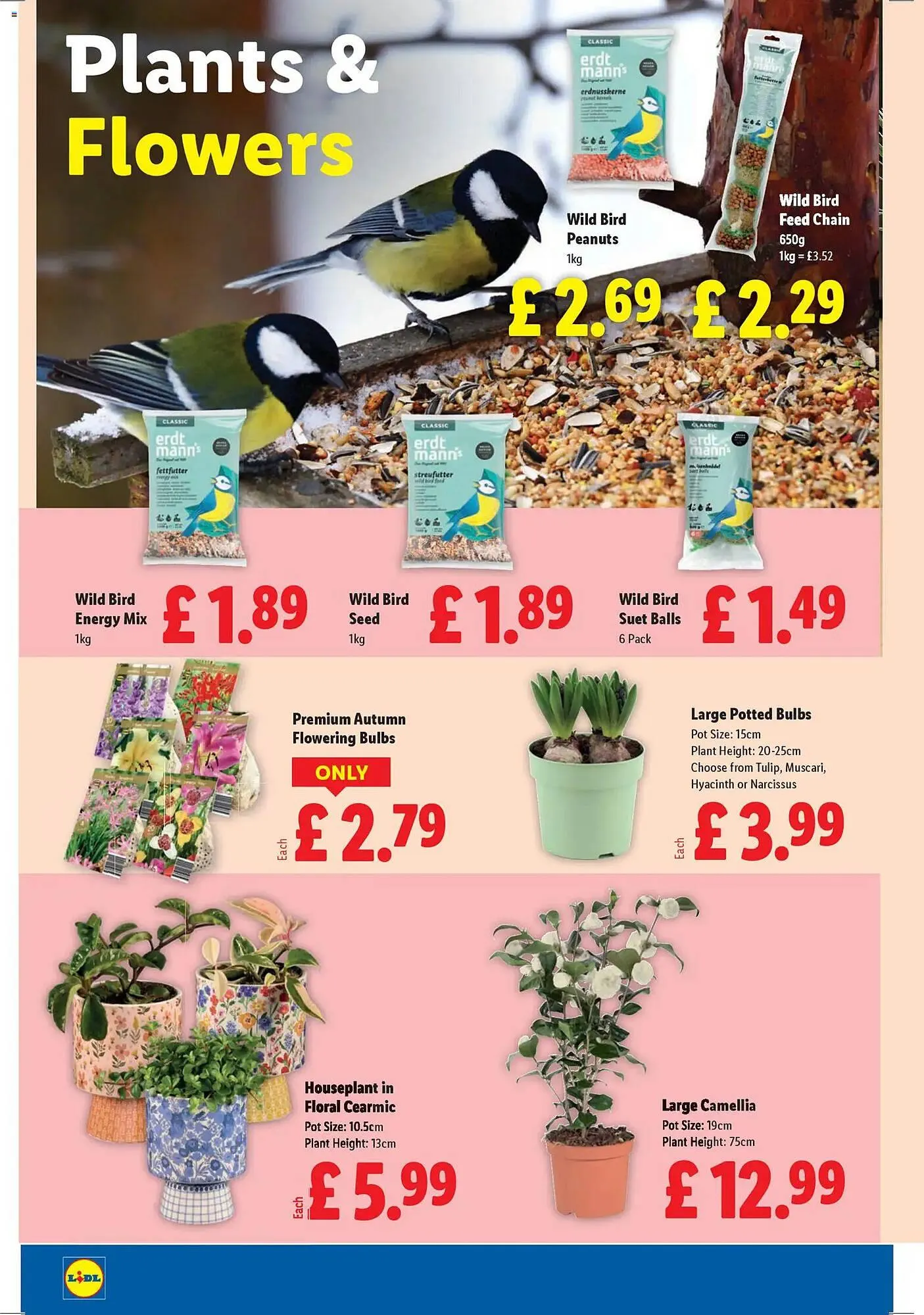 Lidl leaflet from 15 January to 21 January 2026 - Catalogue Page 24