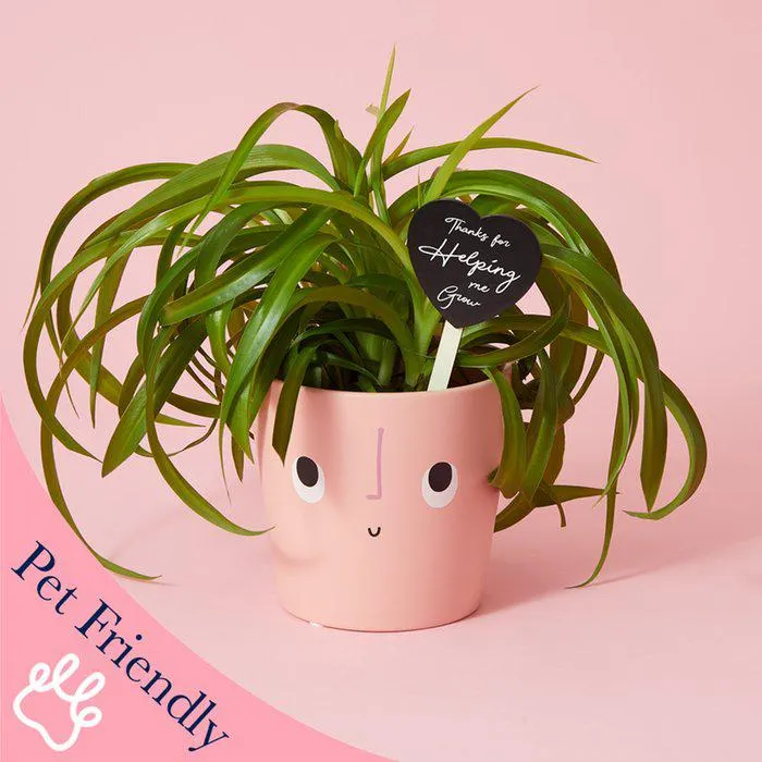 Helping Me Grow Pink Planter