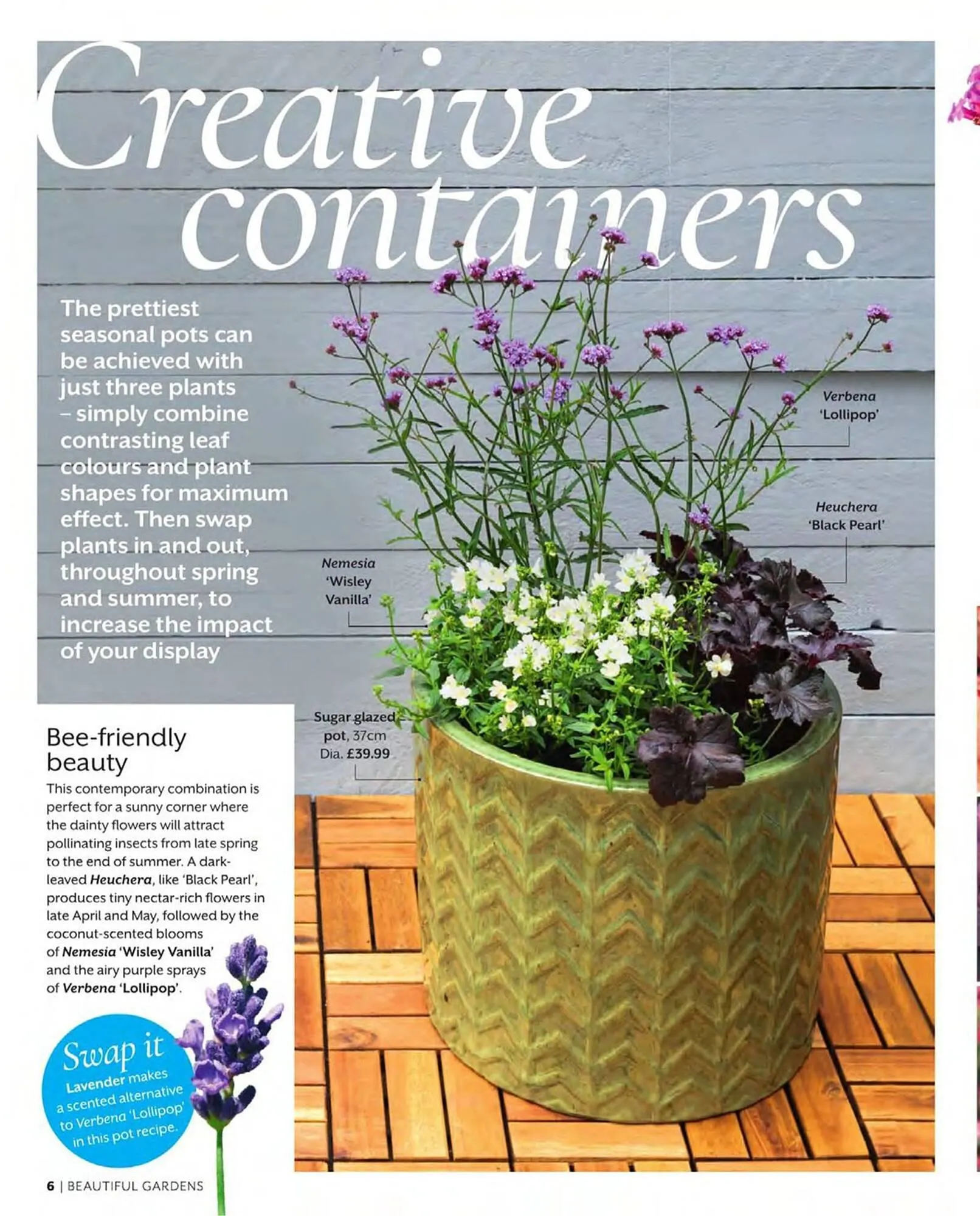 Squires Garden Centres leaflet from 1 March to 31 May 2024 - Catalogue Page 6