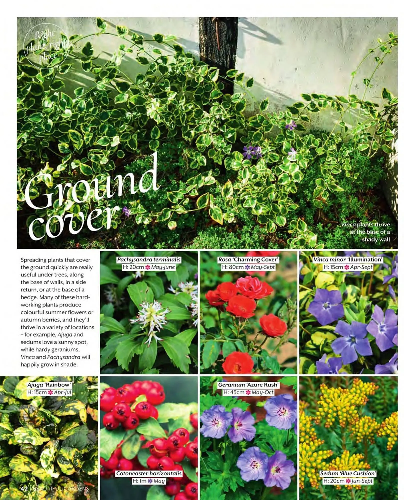 Squires Garden Centres leaflet from 1 March to 31 May 2024 - Catalogue Page 42