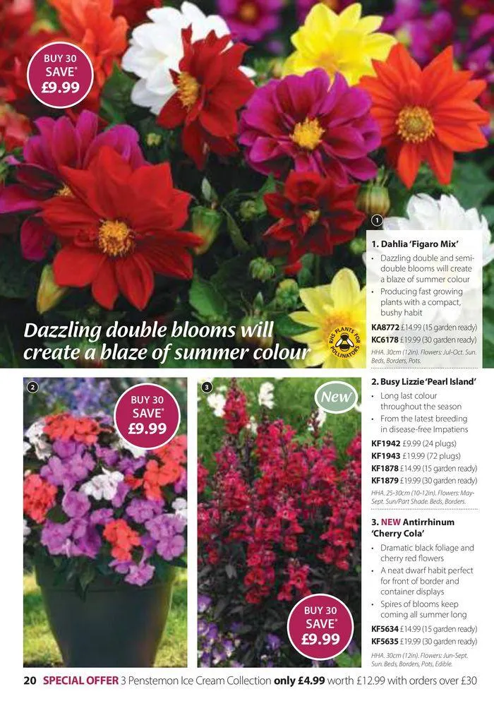 Spring Sale Catalogue from 2 May to 31 May 2024 - Catalogue Page 20