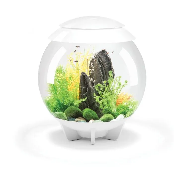 BiOrb White Halo Coldwater Aquarium with Multi Coloured LED - 30L
