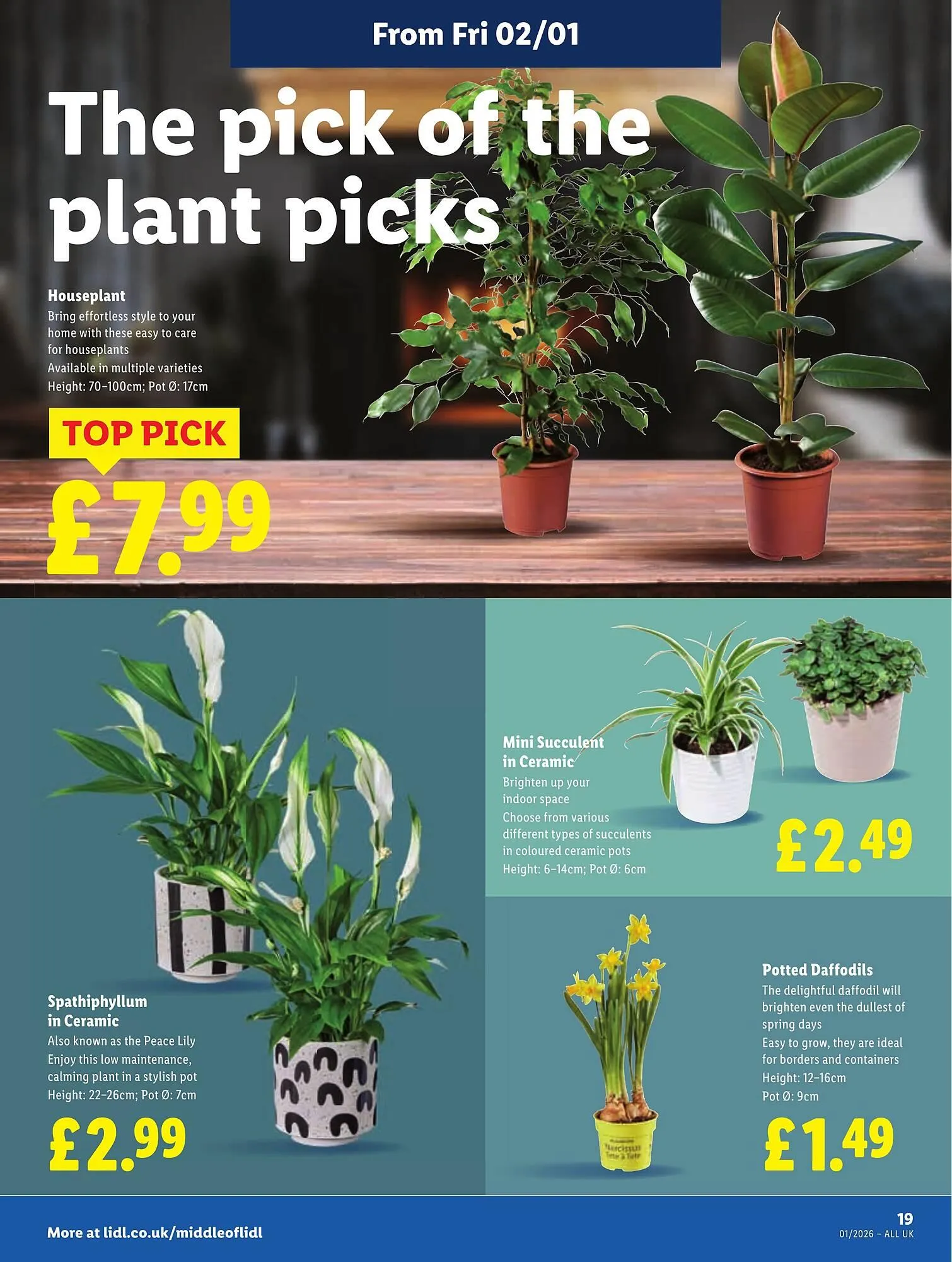 Lidl leaflet from 31 December to 7 January 2026 - Catalogue Page 19