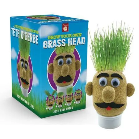 Mr Grasshead