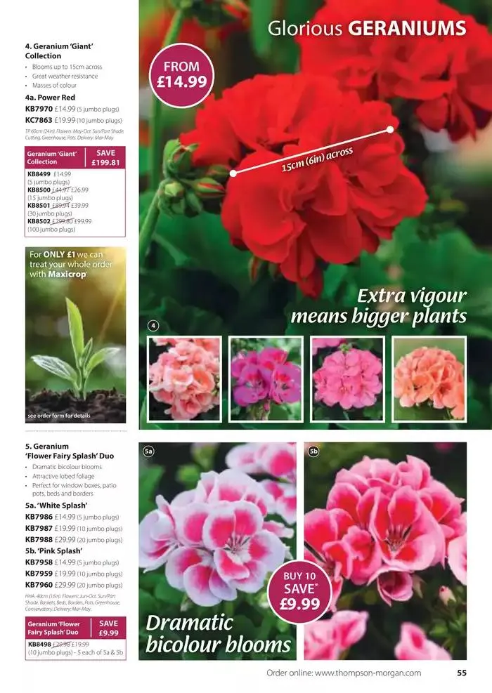 The Spring Catalogue from 20 March to 31 May 2025 - Catalogue Page 55