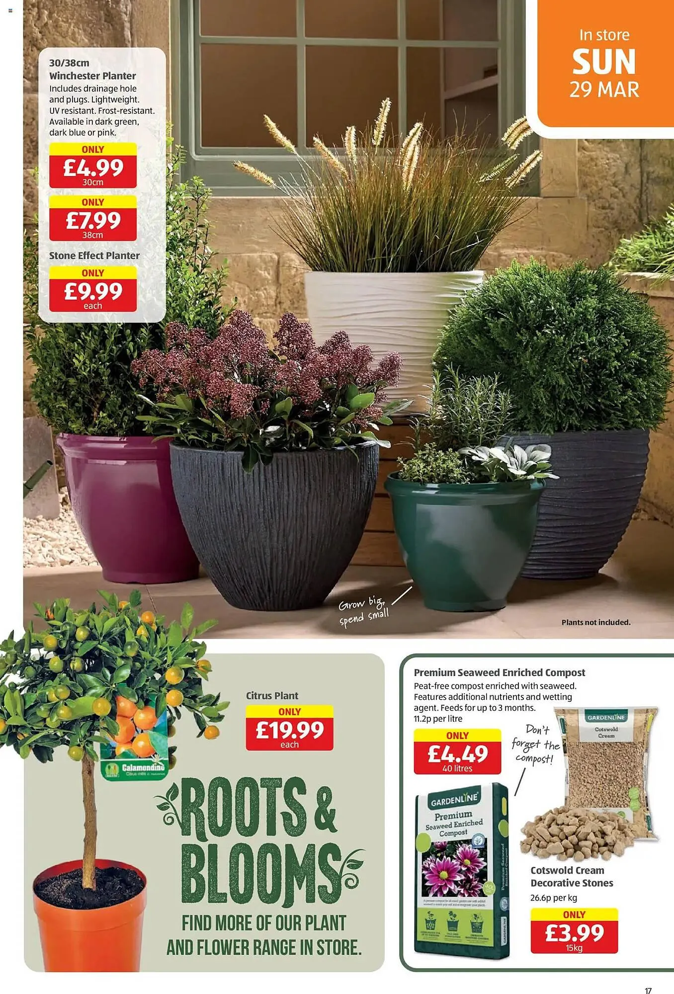 Aldi leaflet from 26 March to 30 March 2026 - Catalogue Page 17
