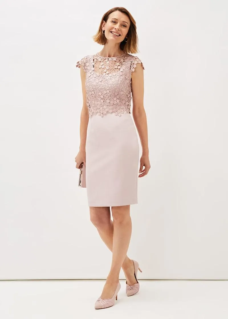 Mariposa Floral Lace Bodice Dress