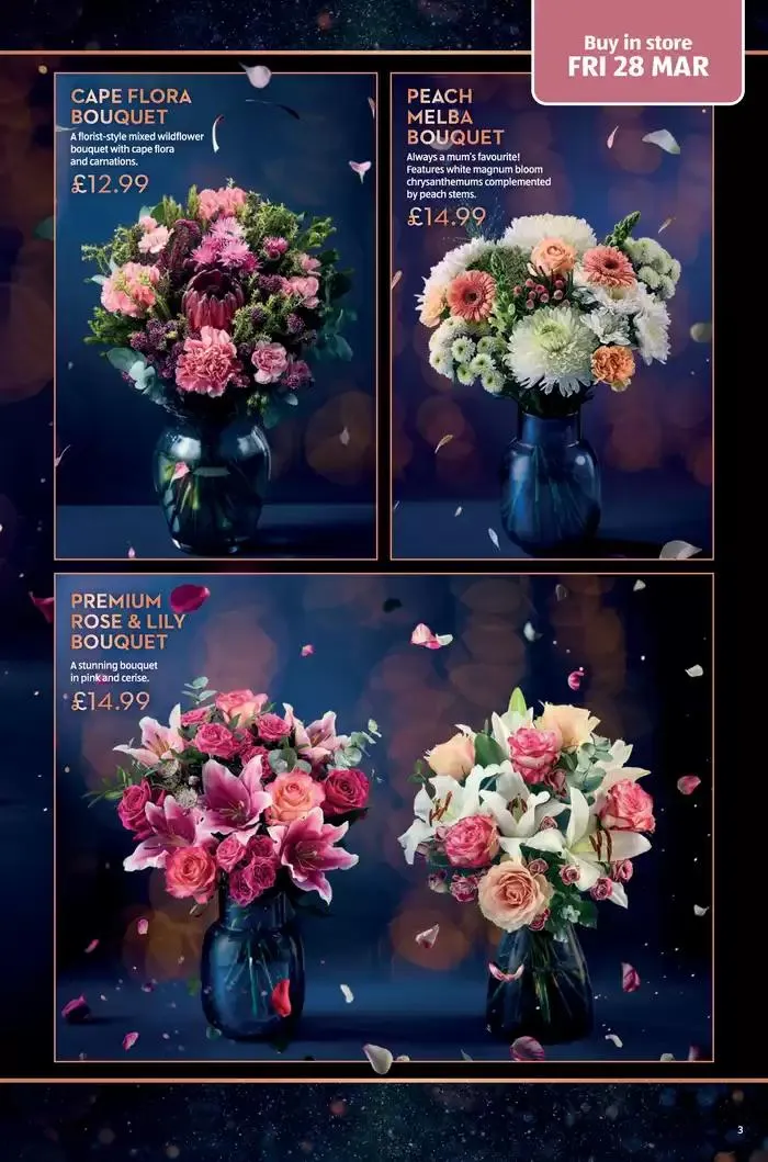 Aldi weekly offers from 27 March to 30 March 2025 - Catalogue Page 3