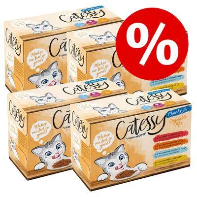 48 x 100g Catessy Wet Cat Food Pouches - Special Price!*