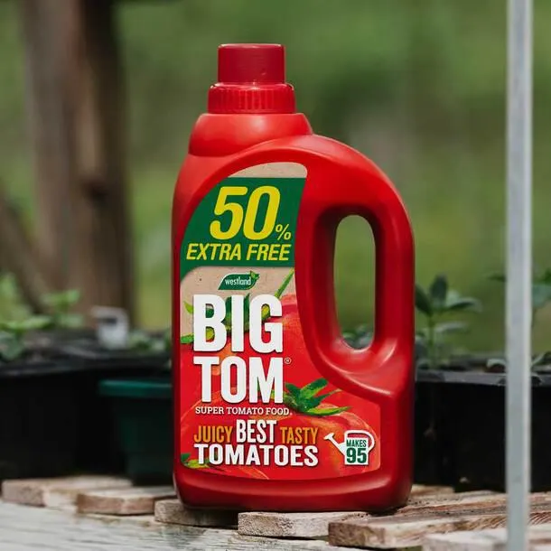 Big Tom Super Tomato Food 1.25L +50% Extra FREE