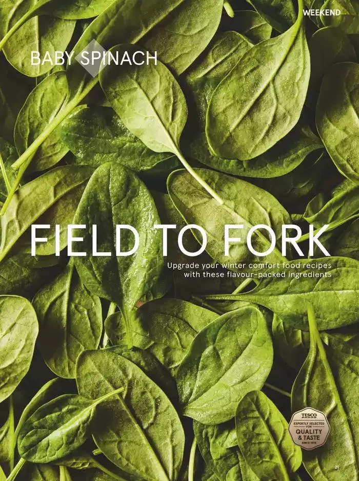 Tesco Magazine - February 2025 from 29 January to 28 February 2025 - Catalogue Page 21