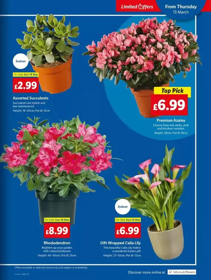 Great offer for all customers from 13 March to 19 March 2025 - Catalogue Page 21