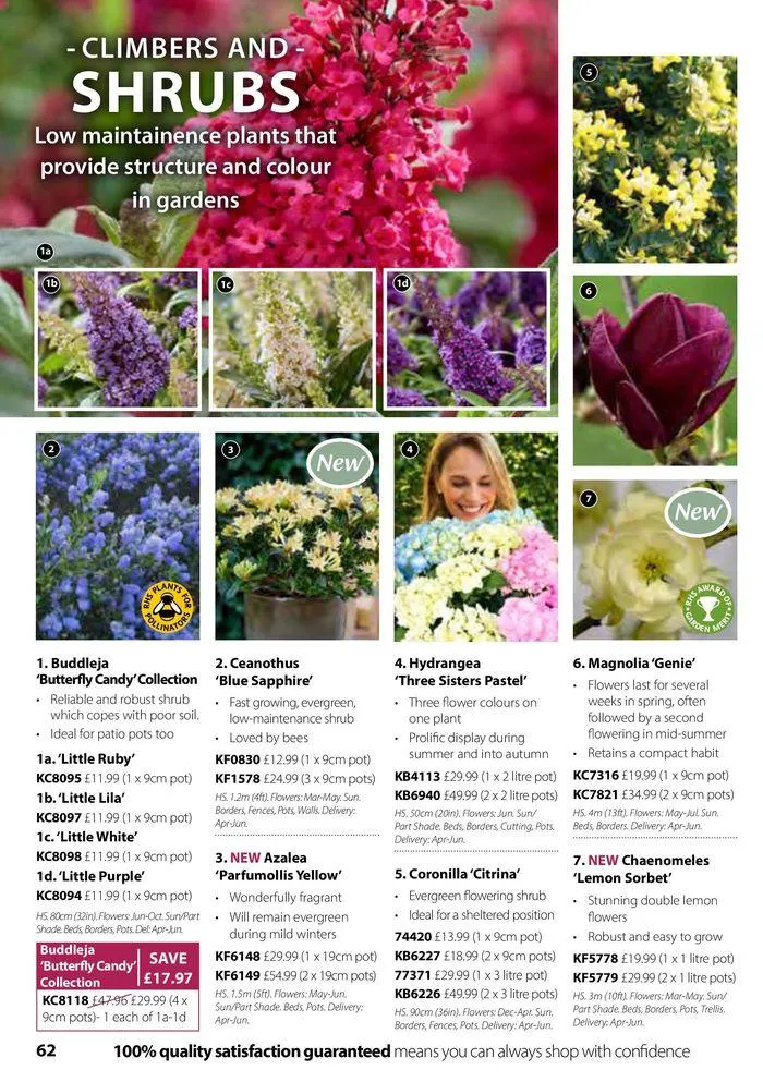 Spring Sale Catalogue from 2 May to 31 May 2024 - Catalogue Page 62